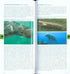 Mammals of South-East Asia -Pocket Photo Guide - Francis,E. 2017